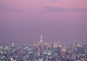 仮設足場のプロが行う安心・安全な工事